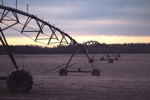 Can ai be used to improve agricultural yields?