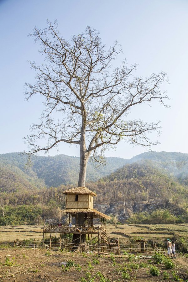 How to Build an Eco-Friendly and Safe Treehouse for Kids?